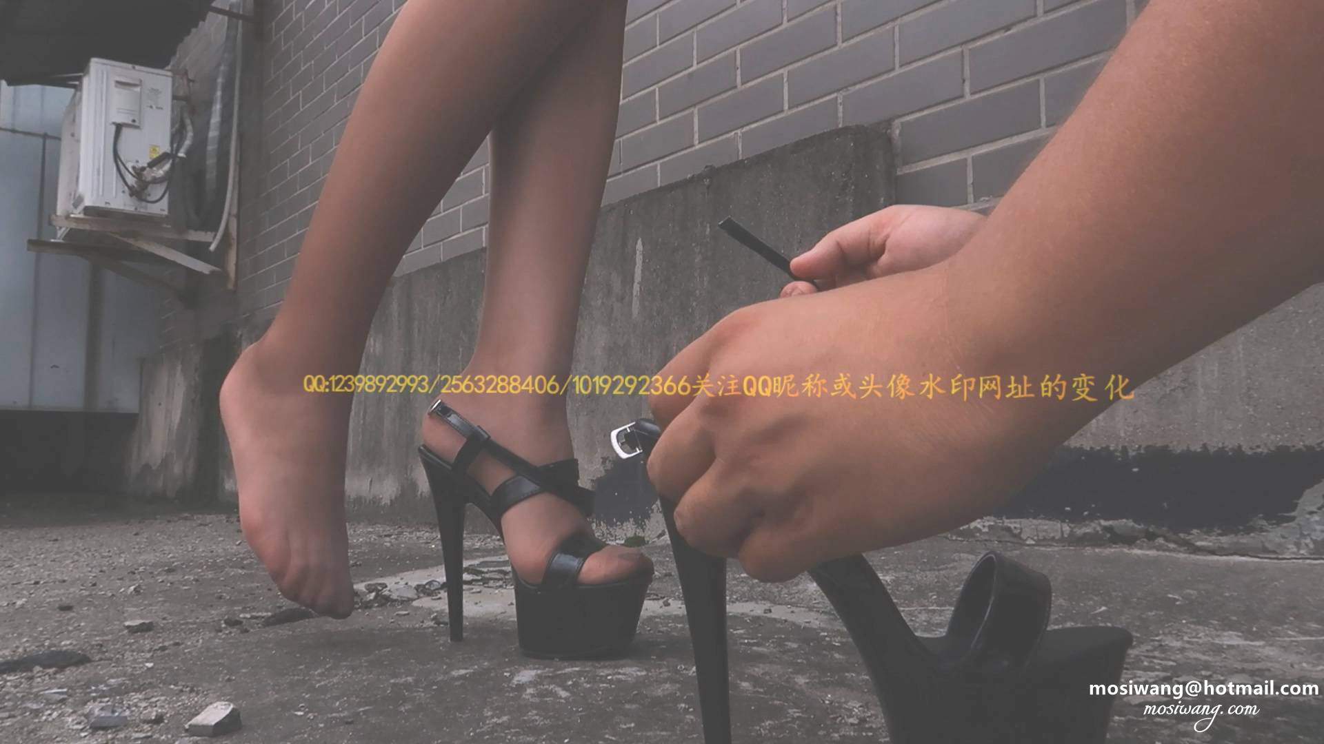 69930.mp4_20240925_224253.465.jpg
