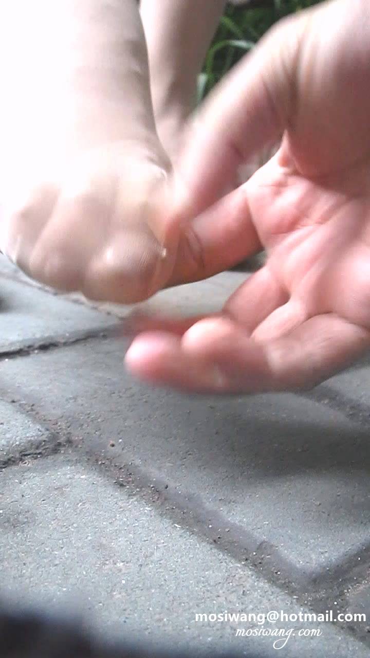 70949.avi_20250110_202121.878.jpg