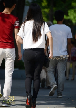 静月的背影集一