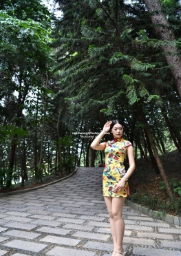 13479凉亭花QPAO【236P】野围的旗袍肉丝足长腿美女套图